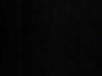 PALMIIRA bongacams stream image