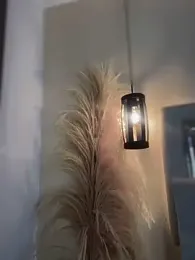 Sofia_Collins- stripchat stream image