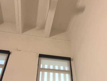 violet6xft bongacams stream image