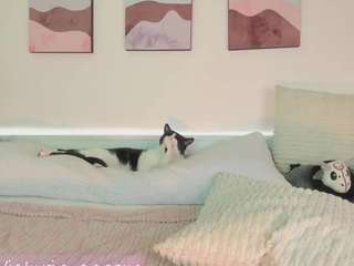 andromeedaa camsoda stream image