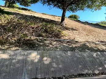 Bigbuttbrooklynn stripchat stream image