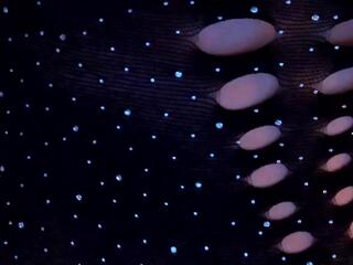 Isa Raven flirt4free stream image