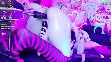 LaytonBox stripchat stream image