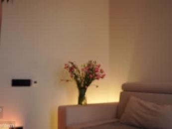 ms_seductive chaturbate stream image