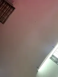 bunnys_bells stripchat stream image