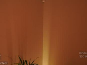 ms_seductive chaturbate stream image