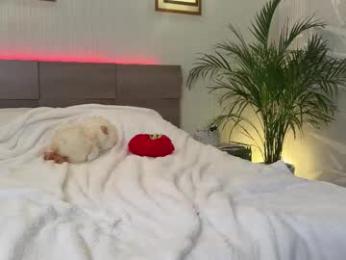 roselyn_rose chaturbate stream image