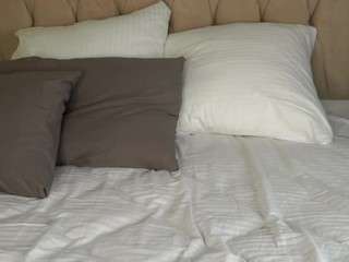 quennagales camsoda stream image