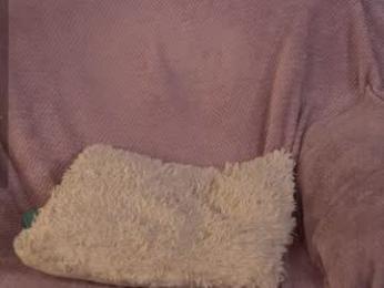 e_vvv_a chaturbate stream image