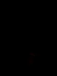 slimcateee stripchat stream image