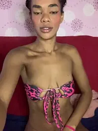 Cammgirlmii stripchat stream image