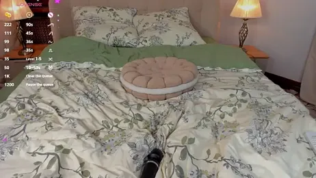 DominikaElis stripchat stream image