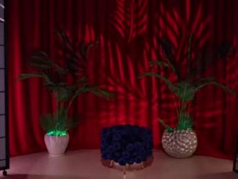 kittycaitlin chaturbate stream image