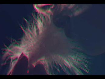 Taanni bongacams stream image