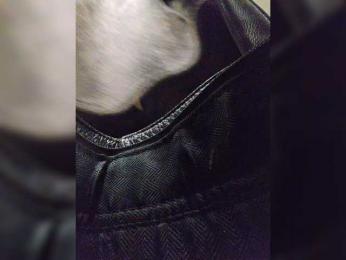 EditaMilf bongacams stream image