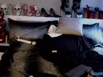 wildwifebarbie chaturbate stream image