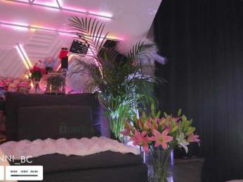 Taanni bongacams stream image