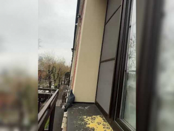 Tvoyasamka77 bongacams stream image