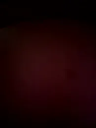 NewLale stripchat stream image