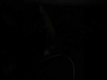 SallyeLeins bongacams stream image