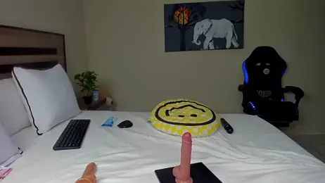 Renee-18 stripchat stream image