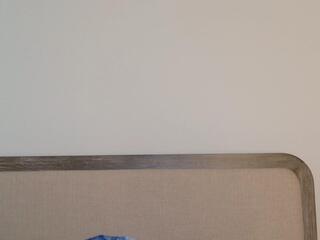 Maci Reynolds flirt4free stream image