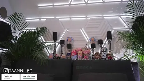 taanni_bc stripchat stream image