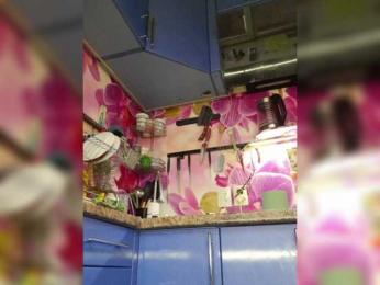 MS-86 bongacams stream image