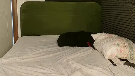 xxhornylove stripchat stream image