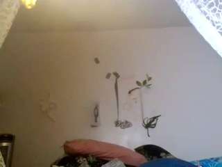 stalliontheesavage camsoda stream image