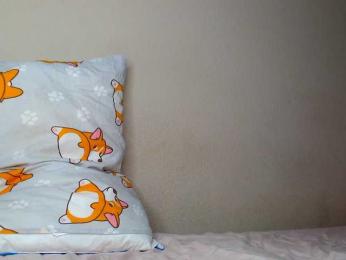 JustAlice bongacams stream image