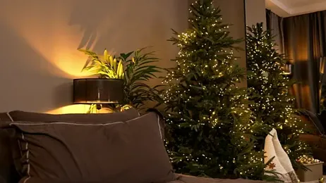 _keeti_ stripchat stream image