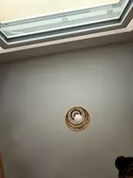 kataryna69 stripchat stream image