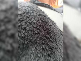 Cocochanell bongacams stream image