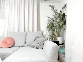 nicole_blueberry chaturbate stream image