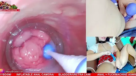 MaryBrook1 stripchat stream image