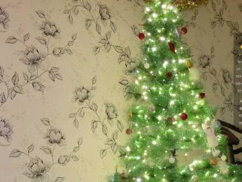 PeachGirl bongacams stream image