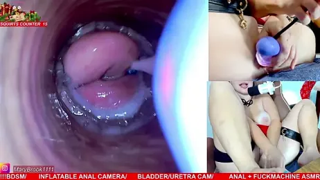 MaryBrook1 stripchat stream image