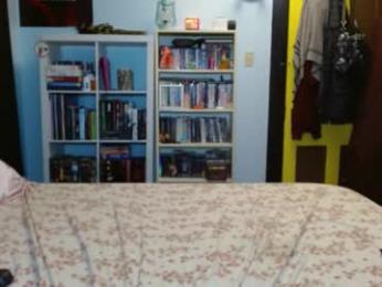 msdeluluxo chaturbate stream image