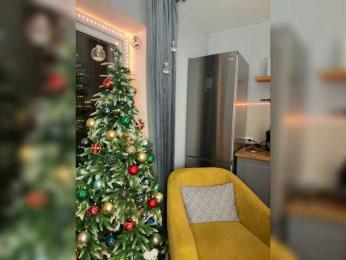 OAO_Sofi bongacams stream image