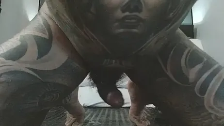 danilog515 stripchat stream image