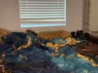 laylared camsoda stream image