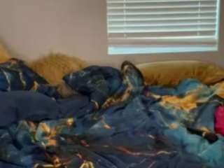 laylared camsoda stream image