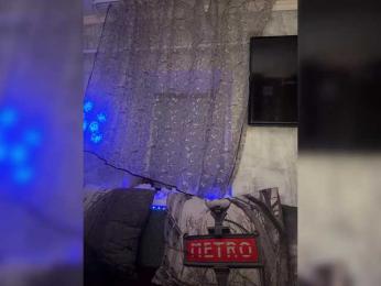 _dashulka_ bongacams stream image