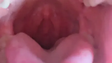 LT-333 stripchat stream image