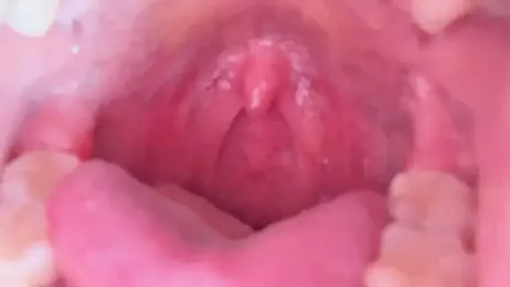 LT-333 stripchat stream image