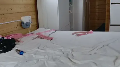 wild41 stripchat stream image