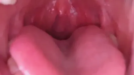 LT-333 stripchat stream image