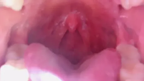 LT-333 stripchat stream image