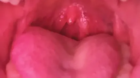 LT-333 stripchat stream image